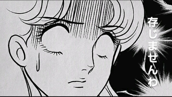 ガラスの仮面?? ガラスの仮面??