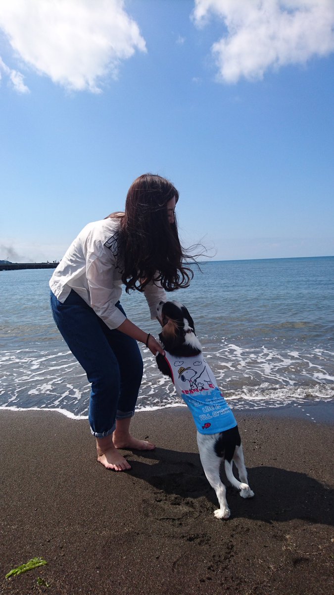 @1sv372Zoeo0IGC5 スヌーピー可愛いワン🐶エルはスヌーピーのT👚着てるワン🐶アポロ君🎵のカッパデビュー待っ @1sv372Zoeo0IGC5 スヌーピー可愛いワン🐶エルはスヌーピーのT👚着てるワン🐶アポロ君🎵のカッパデビュー待っ