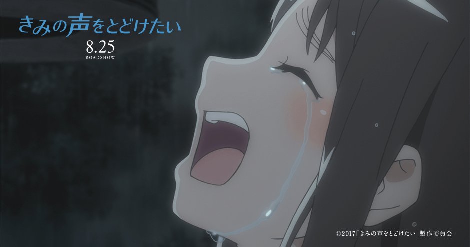 何もかもが美しい、心洗われる映画。もっともっと多くの人に観てほしい。 #映画キミコエ 何もかもが美しい、心洗われる映画。もっともっと多くの人に観てほしい。 #映画キミコエ