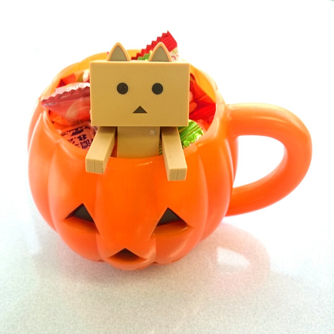 待ち遠しいにゃ🐾#ダンボー#danbo#ニャンボー#にゃんぼー#ハロウィン 待ち遠しいにゃ🐾#ダンボー#danbo#ニャンボー#にゃんぼー#ハロウィン