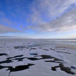 Artic - Pacific exchange to explore cultural links
