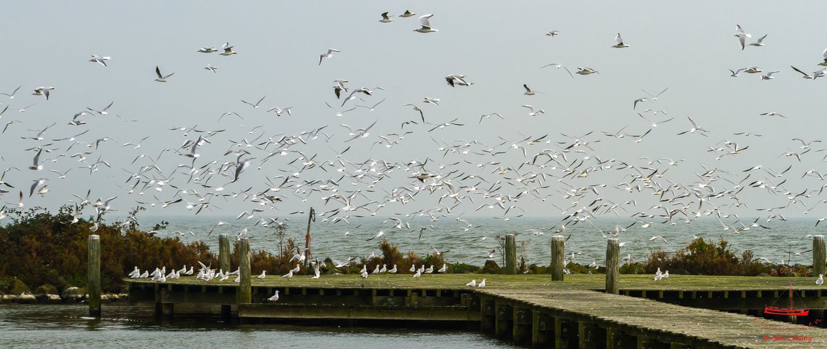 #fotografie