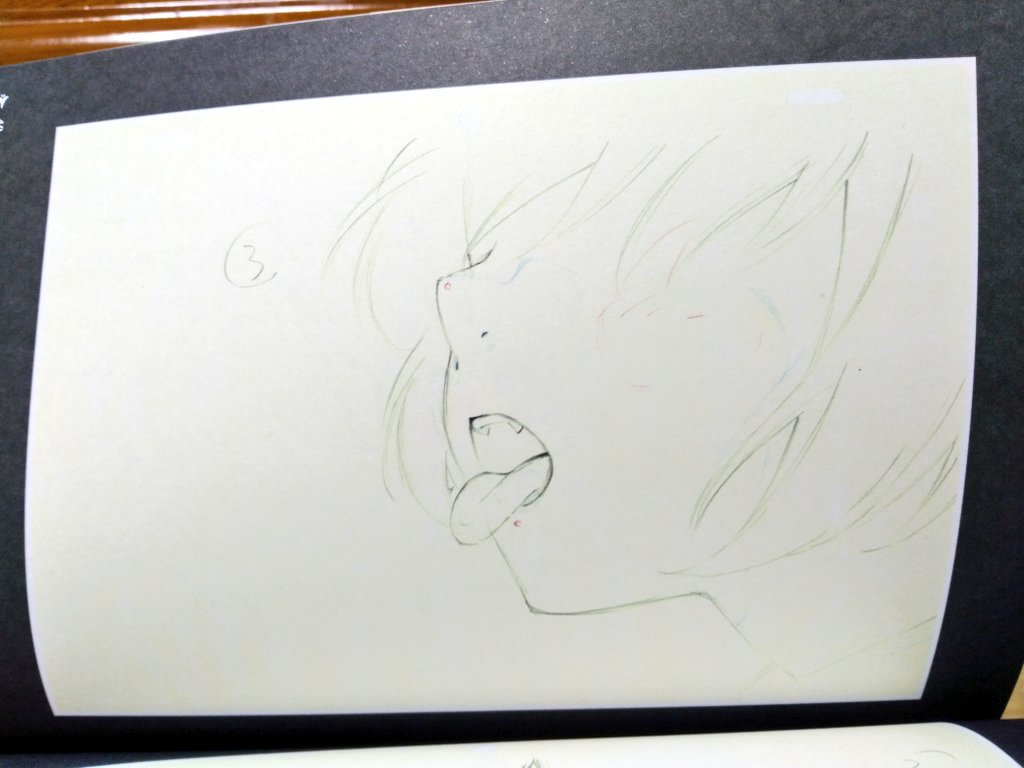 ユリ熊嵐の原画、非常にエロい(百合の花を舐める絵です) ユリ熊嵐の原画、非常にエロい(百合の花を舐める絵です)