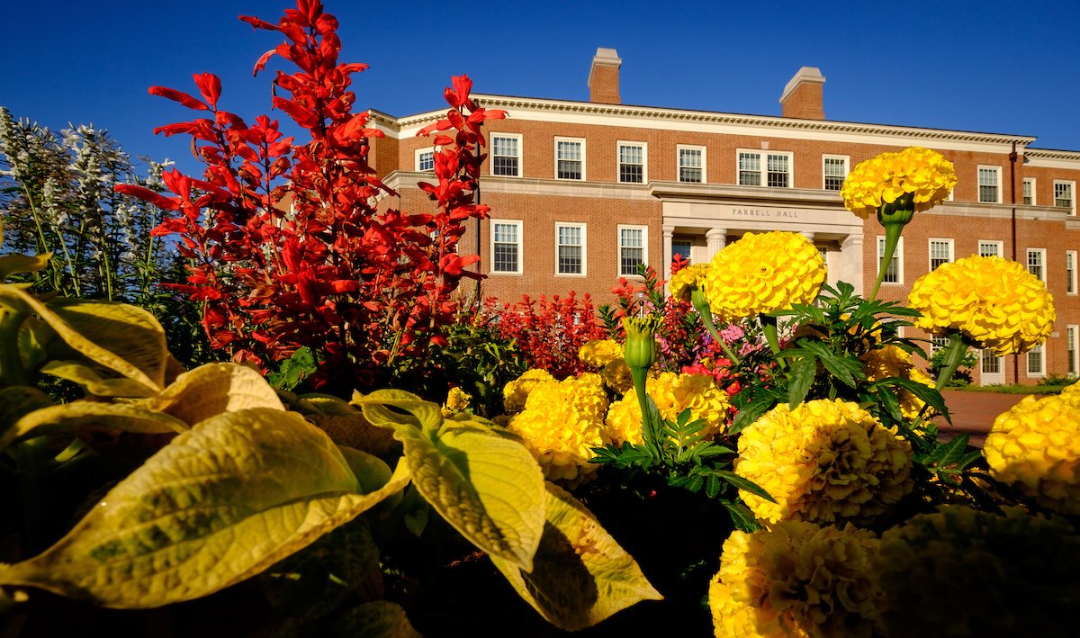 WakeForestBiz photo