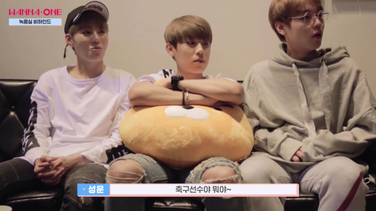 Wanna One 워너원 강다니엘 박지훈 이대휘 KANGDANIEL 윤지성 feelalivejihoon