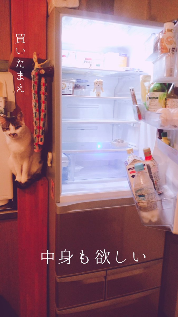 新しい冷蔵庫、せっかく来たが中身が乏しくてテンションが上がらない(´θ`llll) #ヨドバシドットコム #家電猫 #に 新しい冷蔵庫、せっかく来たが中身が乏しくてテンションが上がらない(´θ`llll) #ヨドバシドットコム #家電猫 #に