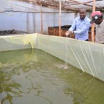 Church trains Meru farmers on fish production through floating ponds program