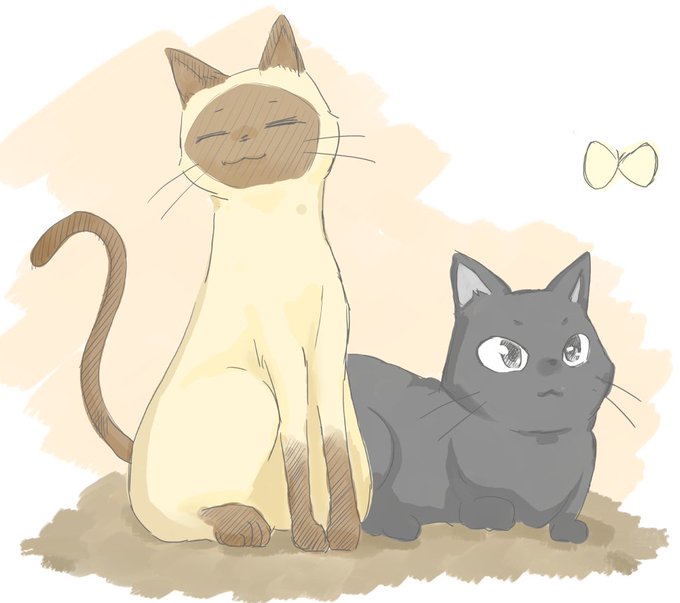 ケニーさんとチトさん #ふらいんぐうぃっち ケニーさんとチトさん #ふらいんぐうぃっち