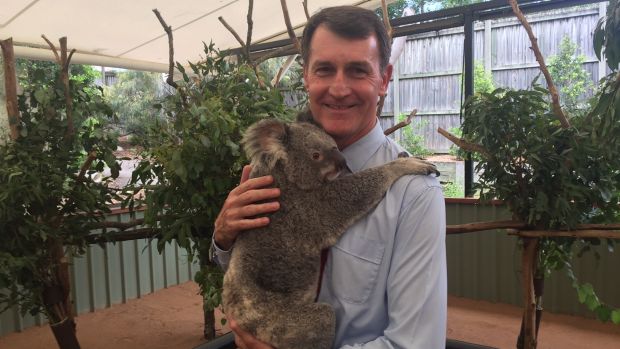 $2 million centre to boost Brisbane's reputation as koala capital