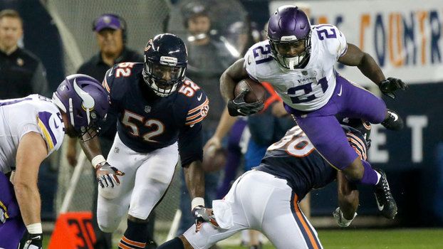 Bears