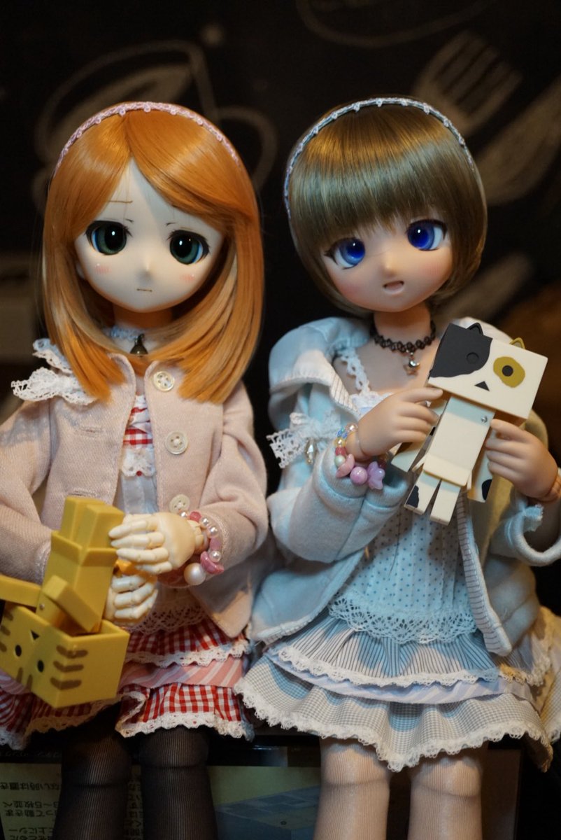 にゃんぼー#Element_L にゃんぼー#Element_L