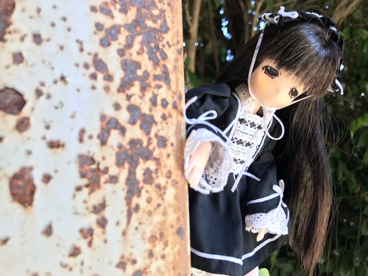 【ドール写注意】4.うちの子の1人。チャイカちゃん。この子単体の写真はまだあんまり撮れてないので近いうち外に連れていきた 【ドール写注意】4.うちの子の1人。チャイカちゃん。この子単体の写真はまだあんまり撮れてないので近いうち外に連れていきた