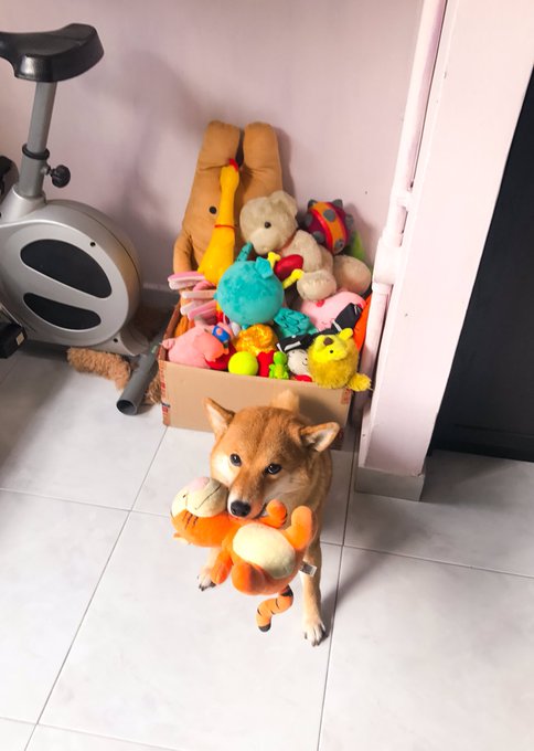 RT @ROBINS: my dad insisting soba doesn't have more toys than an actual human child when in fact https://t.co/1AVMkZTdAt