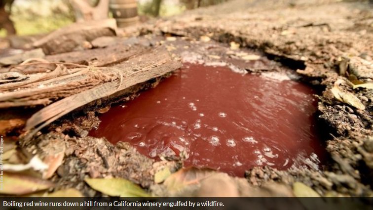 Boiling river of red wine emerges from smoldering Calif. winery bit.ly/2g8HVOR?source… https://t.co/OU0byvIQN0 - Miami news - NewsLocker