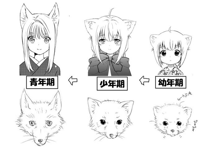 「狐っ娘たちの耳の形が違うのは何故ですか?」ってよく聞かれるので、図解。私の漫画では、こういう意識で描き分けてます。 # 「狐っ娘たちの耳の形が違うのは何故ですか?」ってよく聞かれるので、図解。私の漫画では、こういう意識で描き分けてます。 #