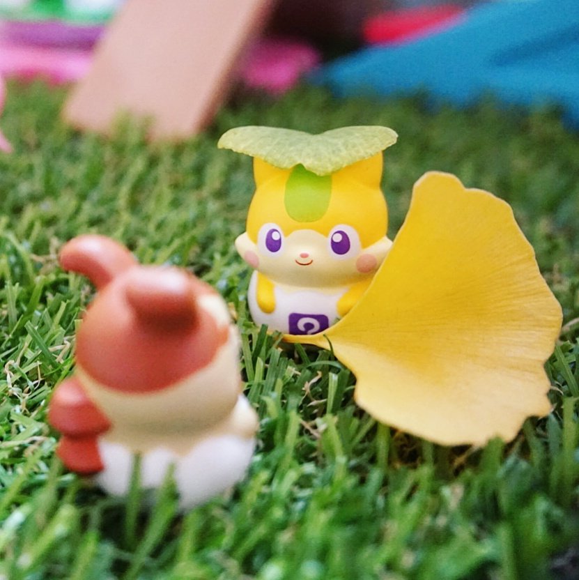 ダシマキ「この時期はいちょう並木で忍者ごっこしたくなるんだし❗」バンのすけ「うまく隠れられそうバン😄❗」#cocotam ダシマキ「この時期はいちょう並木で忍者ごっこしたくなるんだし❗」バンのすけ「うまく隠れられそうバン😄❗」#cocotam
