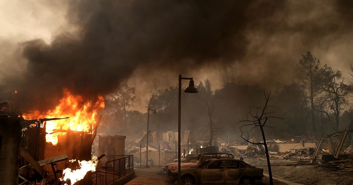 Family who lost everything in Californian wildfires can't believe it when beloved dog comes running out the wreckage