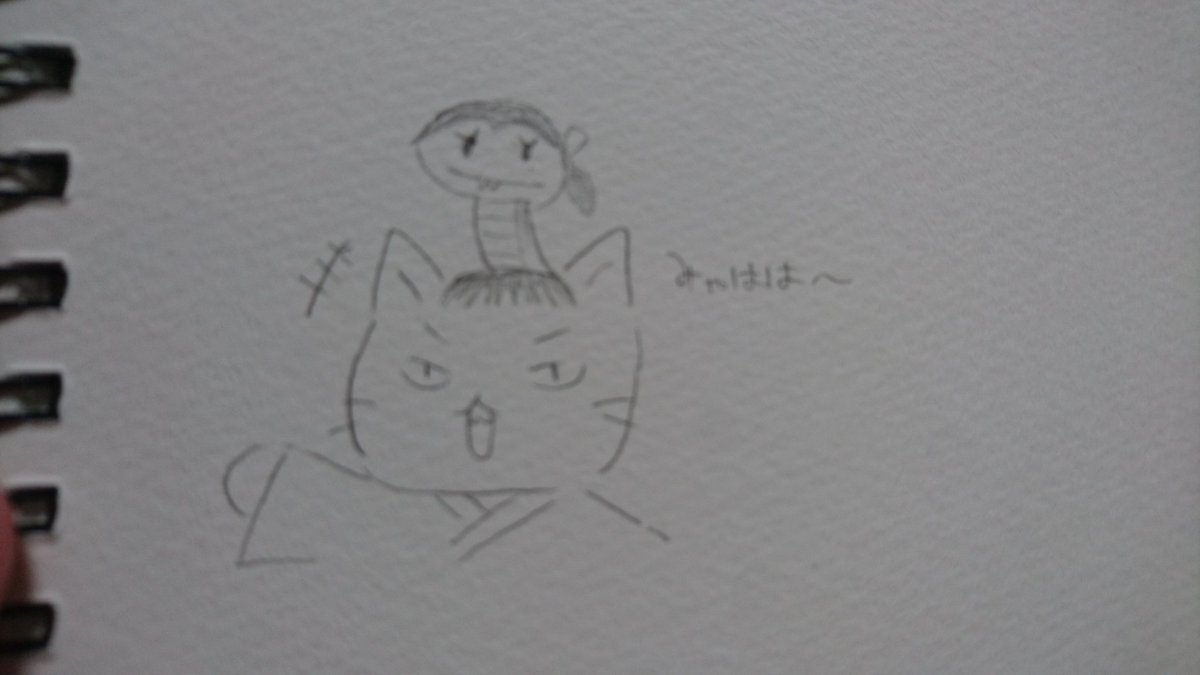#ねこねこ日本史信長とちょんまげになった濃姫ちゃん!笑 #ねこねこ日本史信長とちょんまげになった濃姫ちゃん!笑