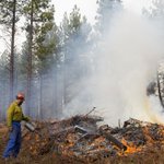Deschutes Collaborative Forest Project shows targeted thinning, burns can save homes