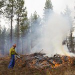 Project saved central Oregon homes from wildfires, but can it be duplicated?
