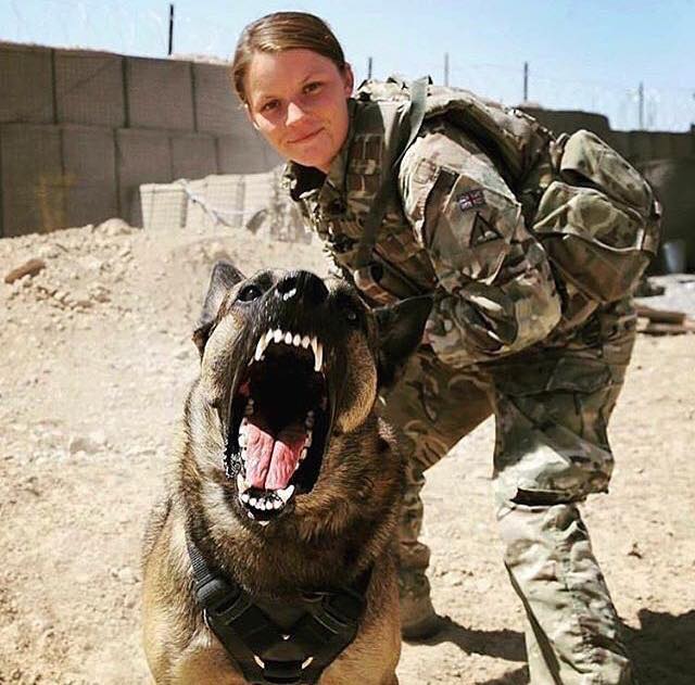 「はい、チーズ!」(Military Working Dogs 公式Facebookより) 「はい、チーズ!」(Military Working Dogs 公式Facebookより)