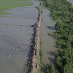 Over 180 dead as thousands of Rohingya refugees flee Myanmar for Bangladesh