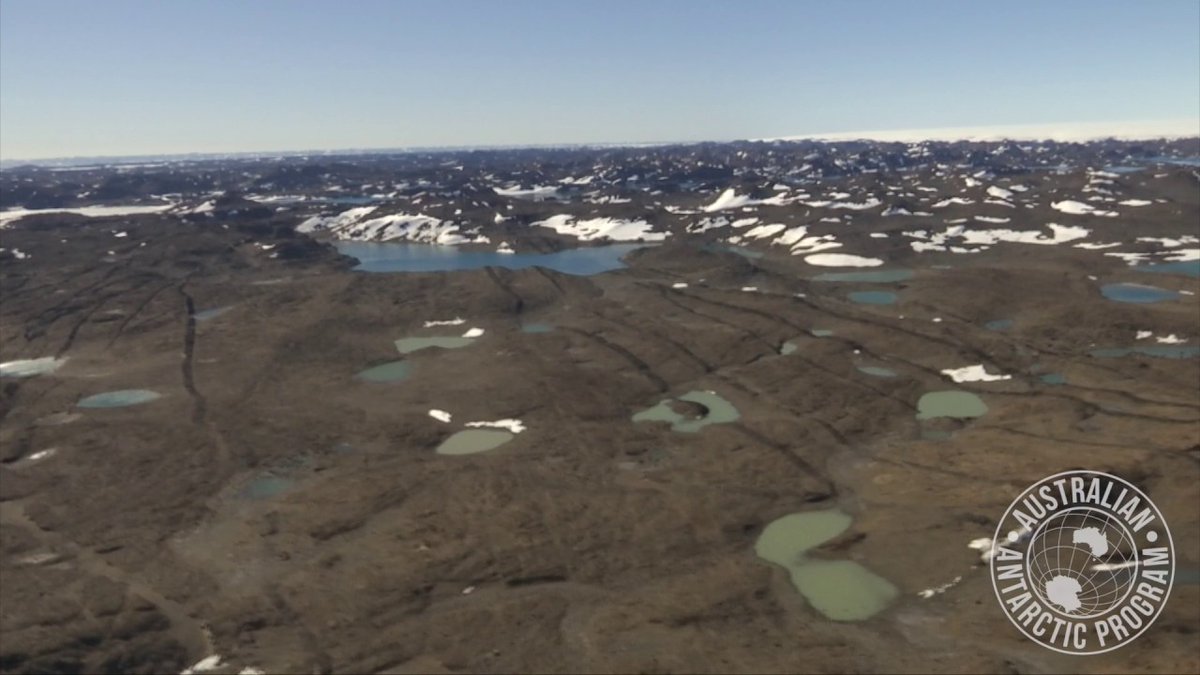 Climate change may cause huge expansion to ice-free areas across Antarctica