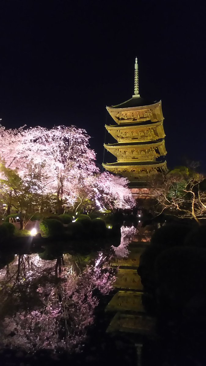 表示できませんでした。アップロード者により削除された可能性があります。他の写真をお楽しみください。