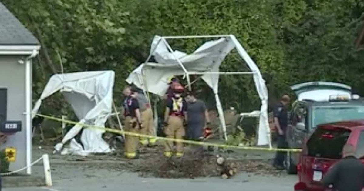 Bridesmaid crushed to death and maid of honor critically injured by falling tree while setting up at wedding reception