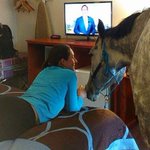 Woman tests hotel's pet policy, brings her horse