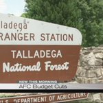 Budget cuts leave Alabama Forestry Commission locations understaffed