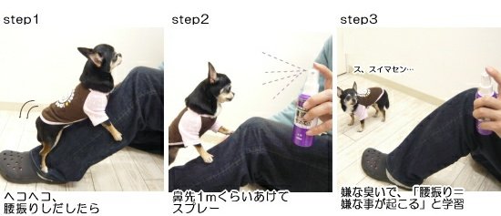 うう…アザゼルさんにもユリウスにもらんぽよにもミュオンくんにもコレされたさしかない…ヘコヘコを禁止されたい… うう…アザゼルさんにもユリウスにもらんぽよにもミュオンくんにもコレされたさしかない…ヘコヘコを禁止されたい…