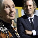 Jane Goodall: Stop destroying the planet or 'we may not even be on it anymore'