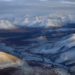 Protect Alaska’s Last Great Wilderness From Oil Drilling