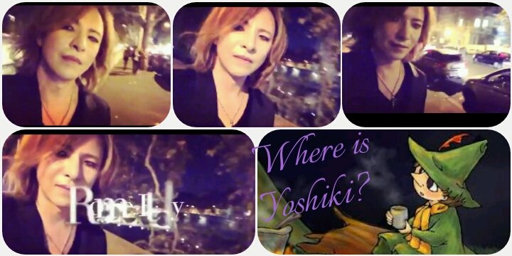 YOSHIKIさんは トトロのようにきっとム~ミンにも逢えたでしょうね🌺🌻💠残りのスケジュール お元気で走り抜けること YOSHIKIさんは トトロのようにきっとム~ミンにも逢えたでしょうね🌺🌻💠残りのスケジュール お元気で走り抜けること