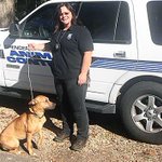 Police: Man Broke Into Kennel To Steal His Dog