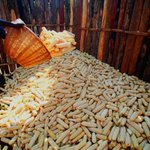 Africa to feed the globe by 2050 - KBC TV | Kenya's Watching