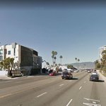Bicycle Rider Dies in Traffic Collision on Pacific Coast Highway Sunday Night