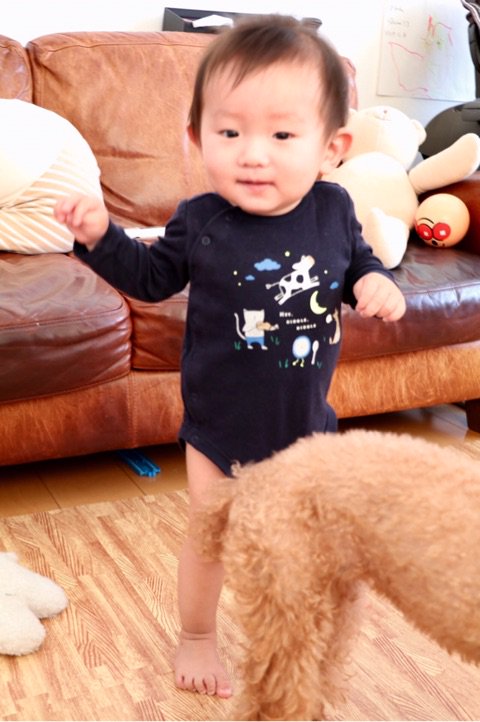 ブログを更新しました。 『はじめの一歩』#久しぶりの散歩#サーキットの狼#アメブロ ブログを更新しました。 『はじめの一歩』#久しぶりの散歩#サーキットの狼#アメブロ