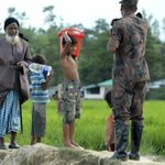 US says Myanmar army responsible for Rohingya crisis