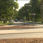 Open house slated for Thursday on proposed Forest Park upgrades