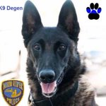 Police departments honor Wood River K-9 Officer laid to rest