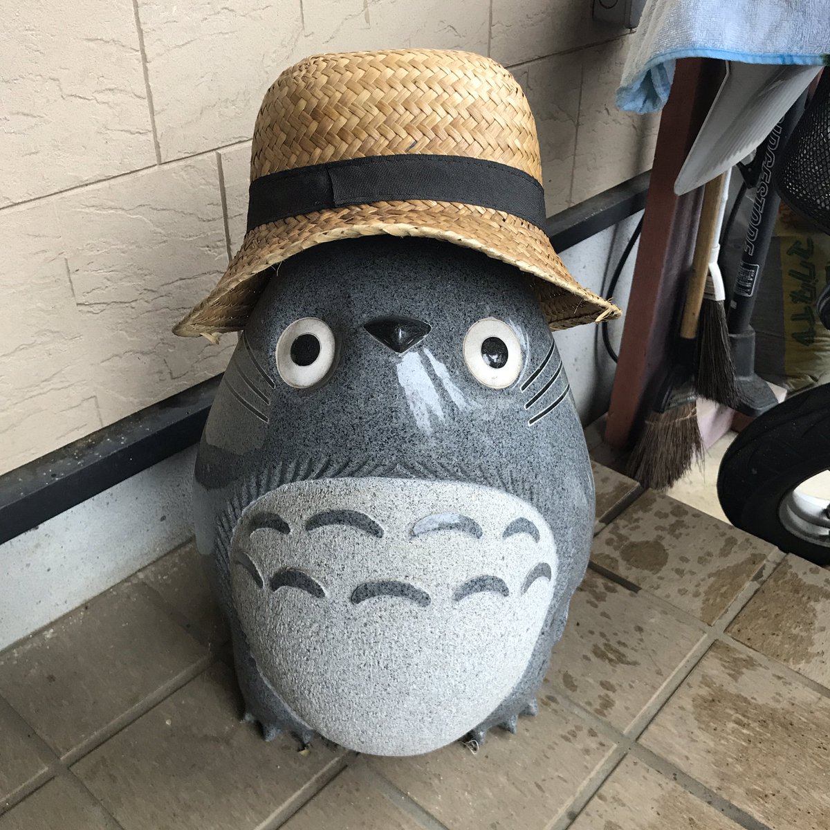 トトロに帽子かぶらせた👒可愛い😍 トトロに帽子かぶらせた👒可愛い😍