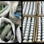 Police nab Jitra man smuggling ketum, cough syrup into Langkawi