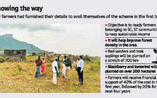 Agro-forestry to help farmers in Chittoor earn more