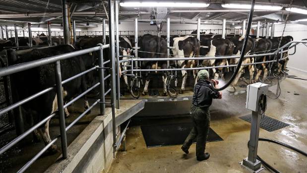 Shares down as investors take stock
