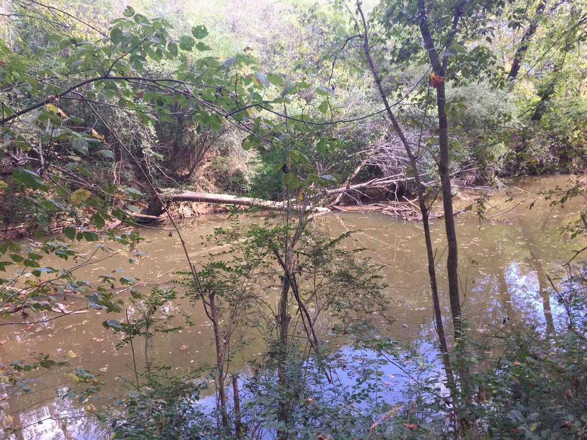 LandTrust awarded grant for conservation of native plants - | WBTV Charlotte