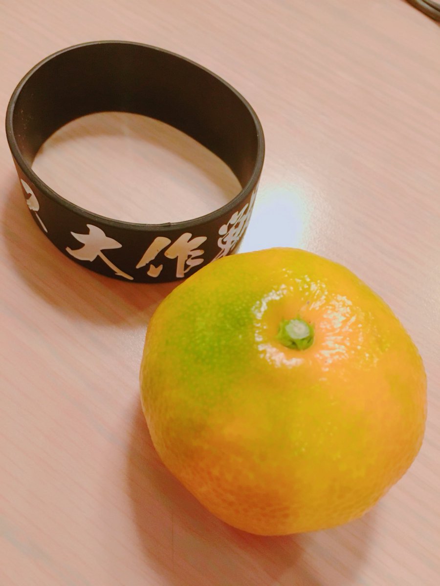 本日の戦利品トンさんからみかん貰った(笑)トンさんがダイブしようと足場探してる時にお支えしようと手を伸ばしたらふと何かが 本日の戦利品トンさんからみかん貰った(笑)トンさんがダイブしようと足場探してる時にお支えしようと手を伸ばしたらふと何かが