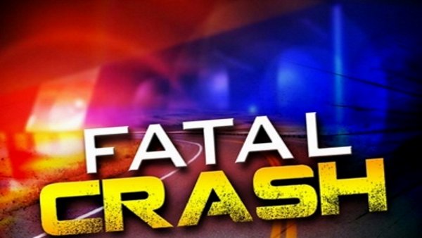 U.S. Department of Transportation sees more deaths in car crashes