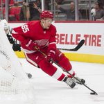 Red Wings defensemen embrace shot-blocking hazards